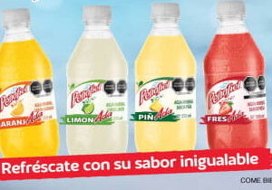 AGUA MINERAL PEÑAFIEL con jugo 355 ml 24 piezas
